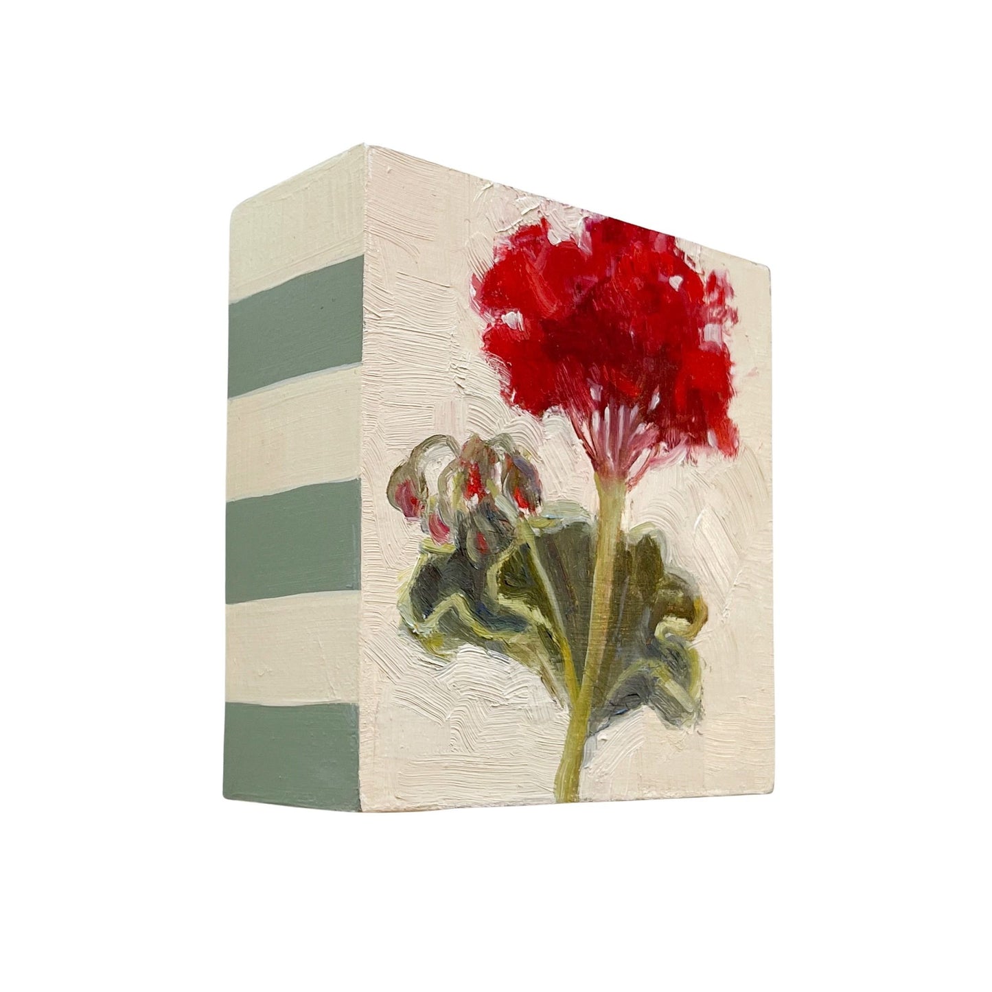 Geranium