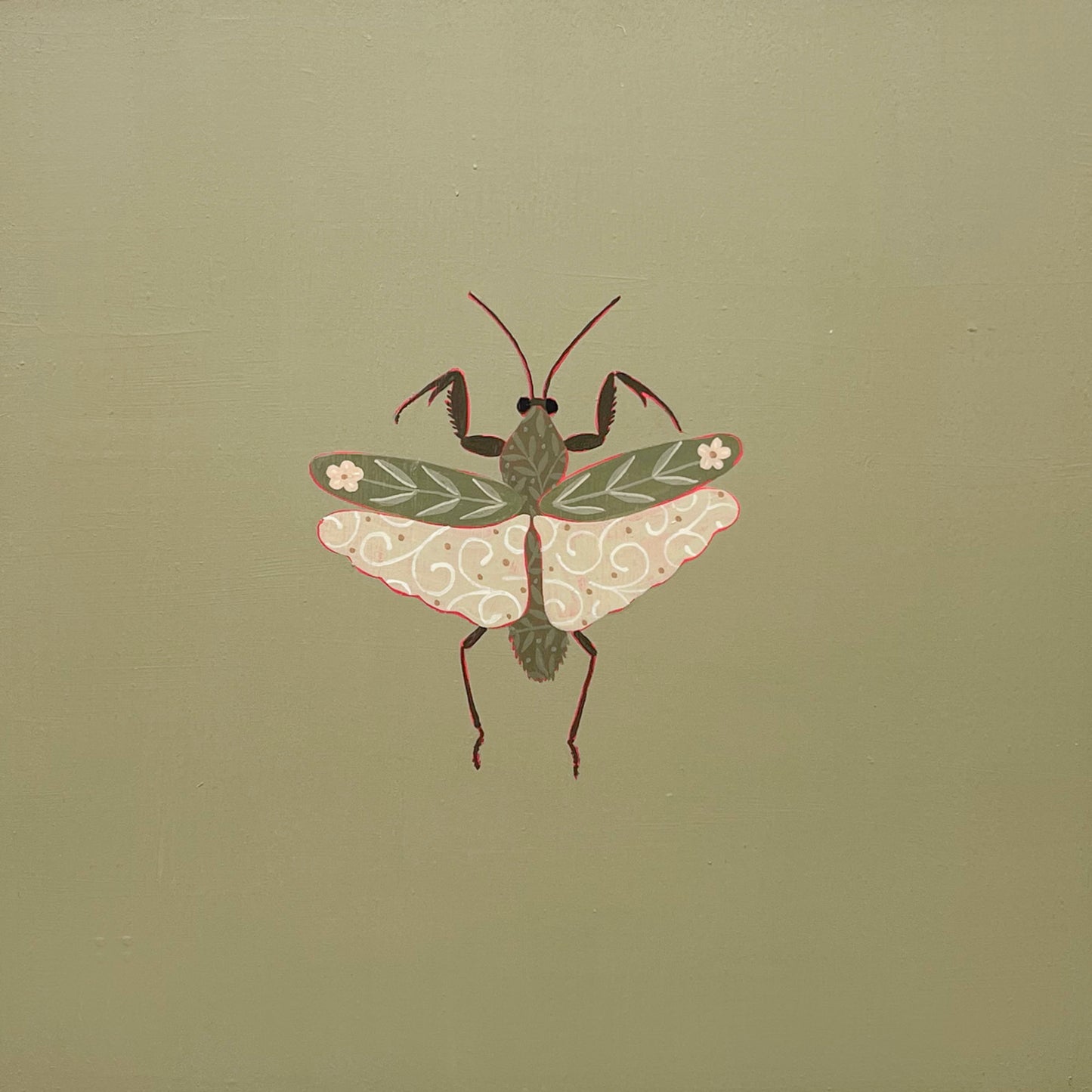 Shield Mantis