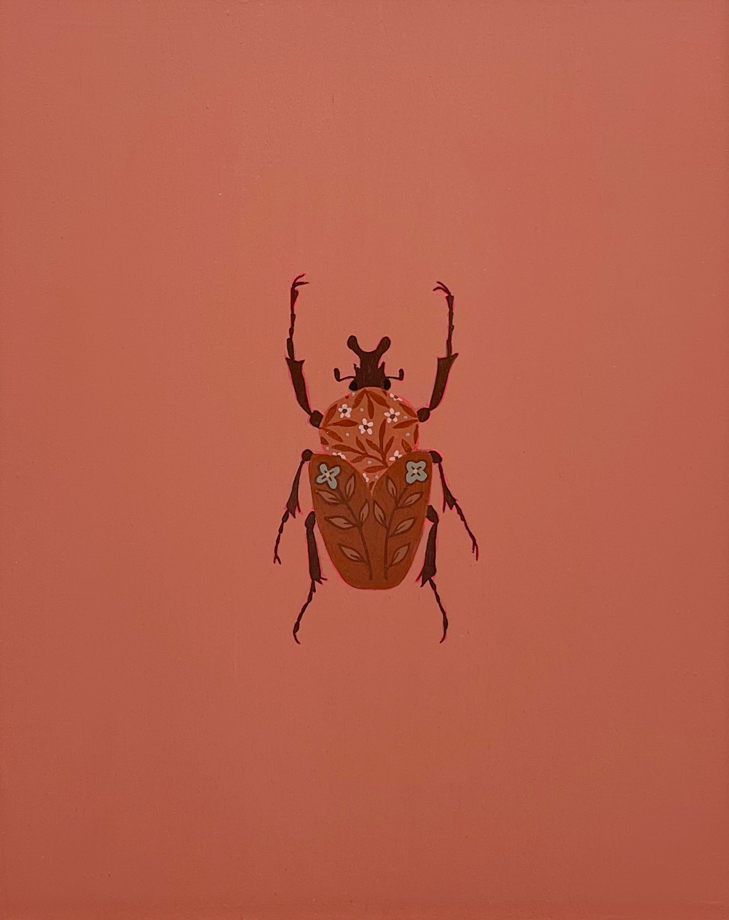 Goliath Beetle