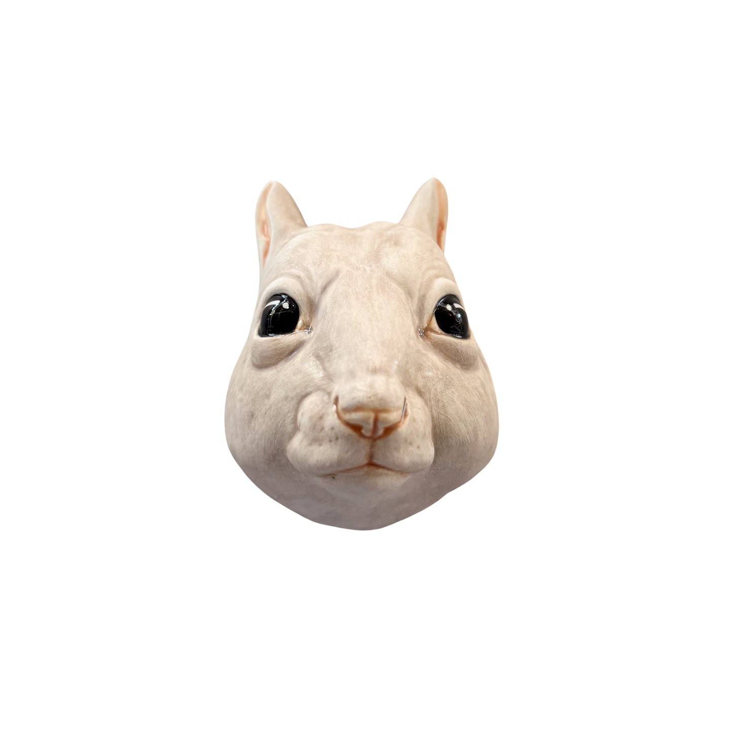 Squirrel 12