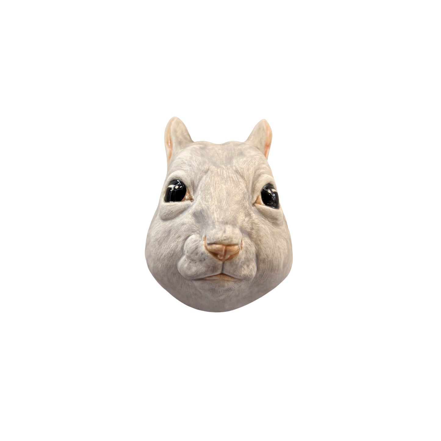Squirrel 15