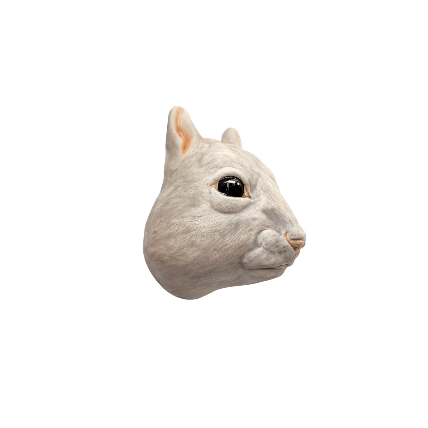 Squirrel 15