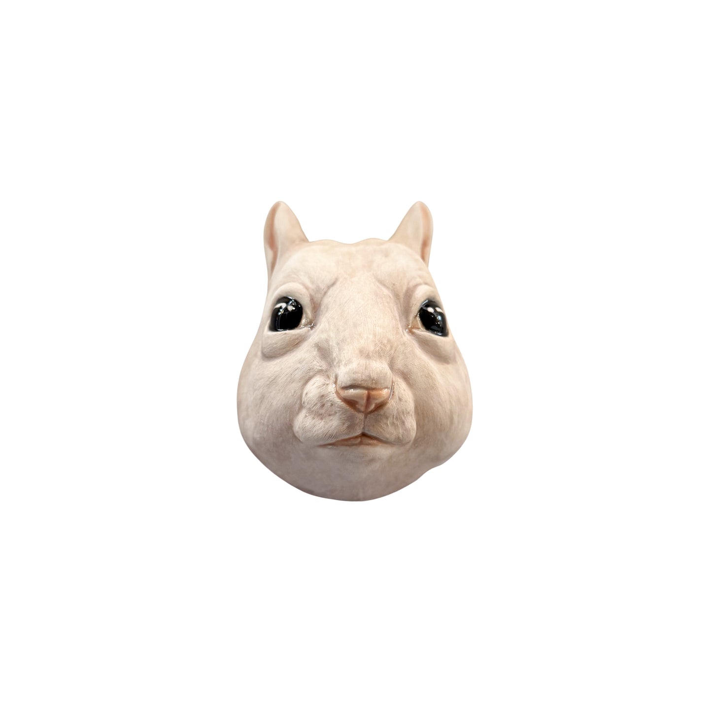 Squirrel 13