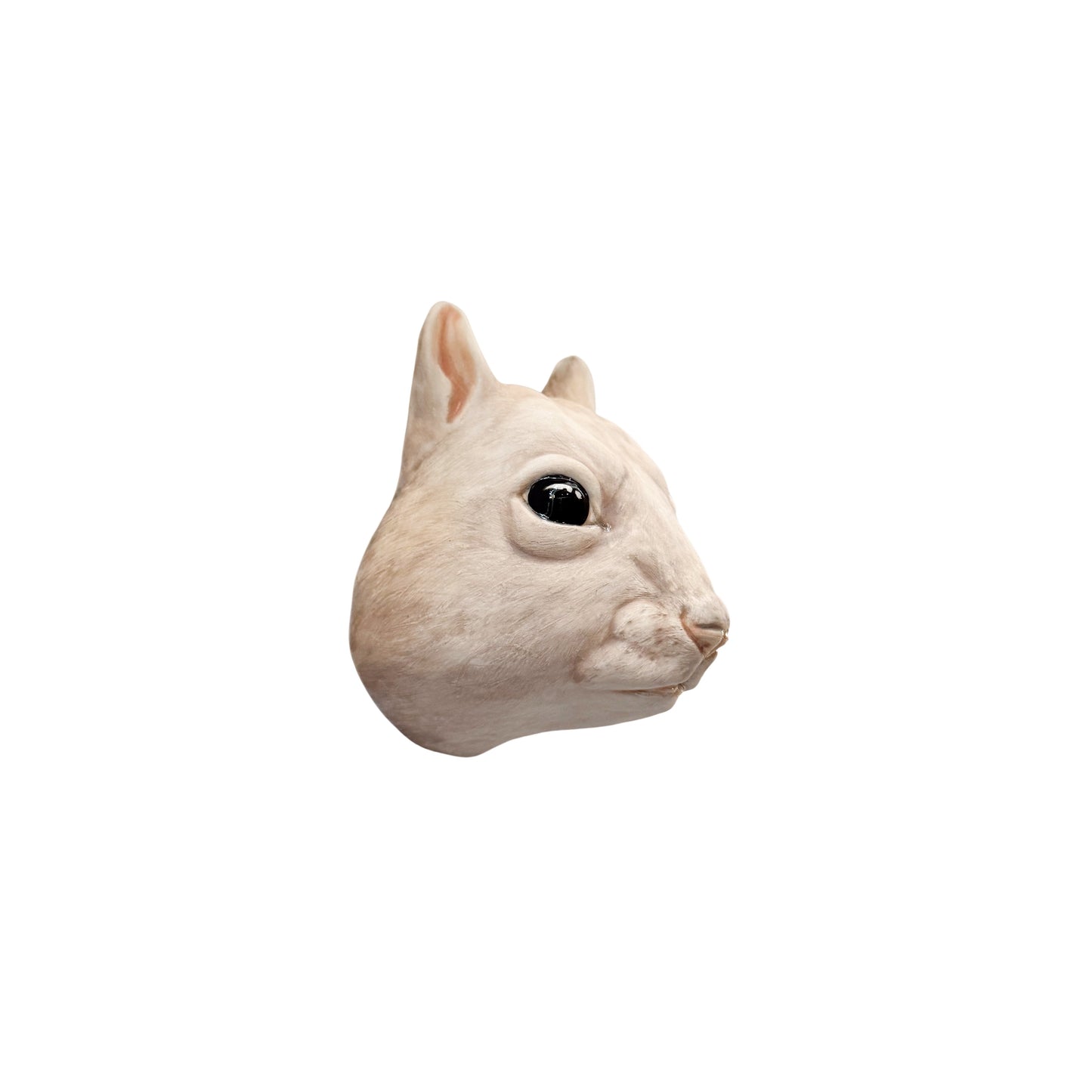 Squirrel 13
