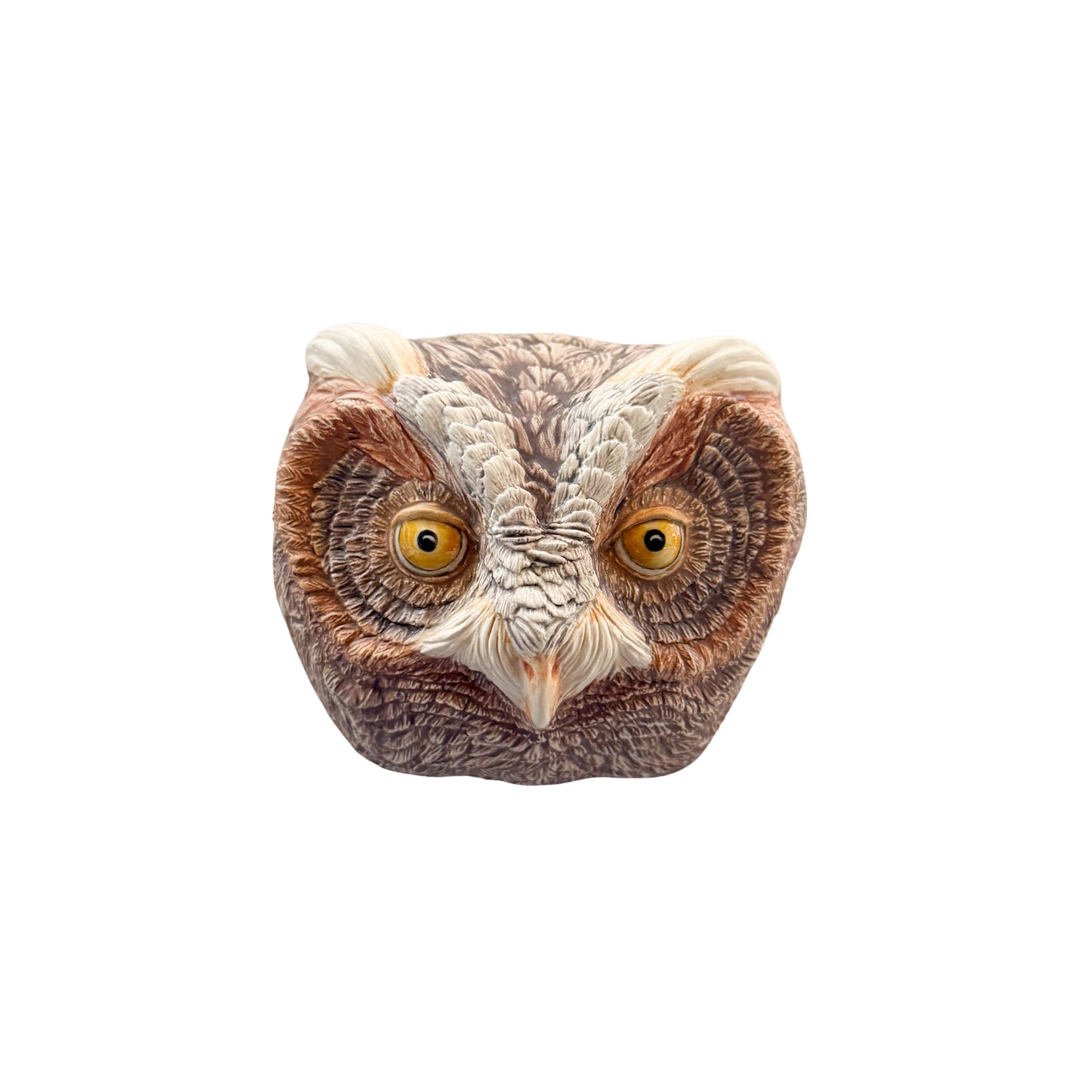 Flammulated Owl 37
