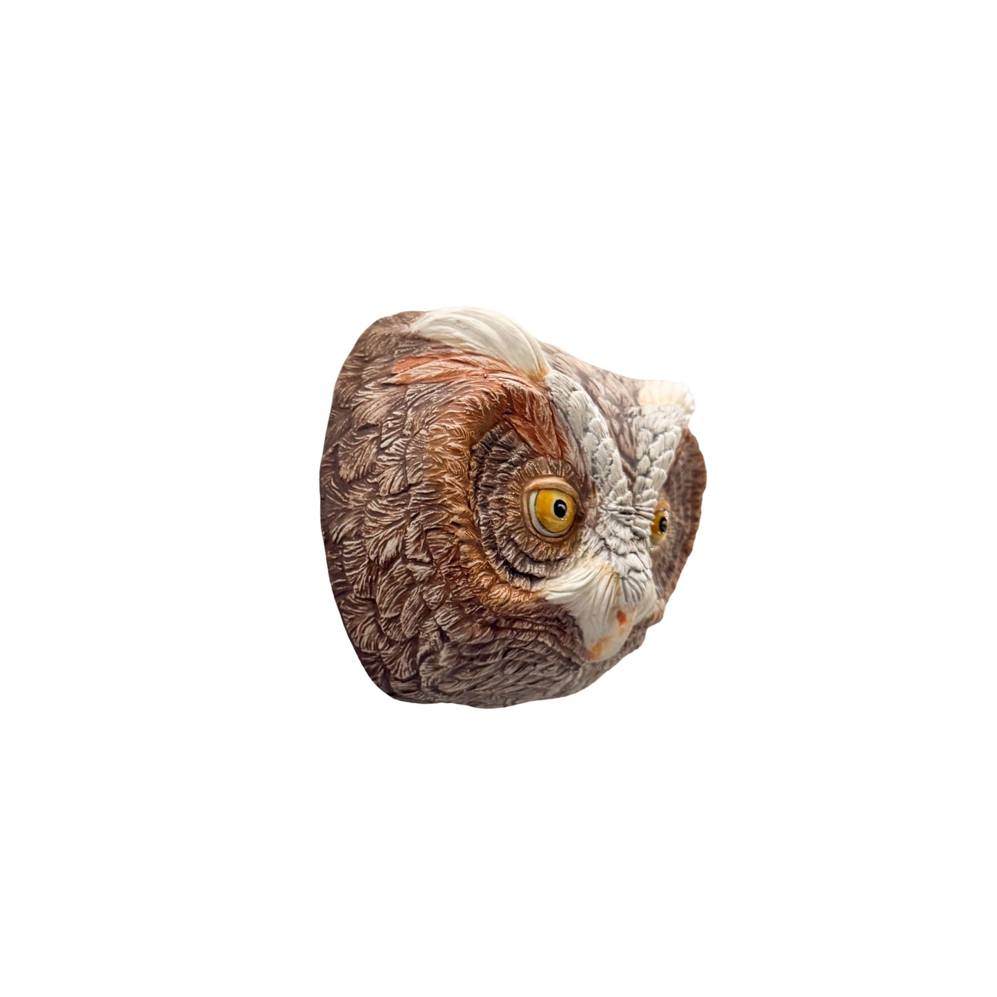 Flammulated Owl 37