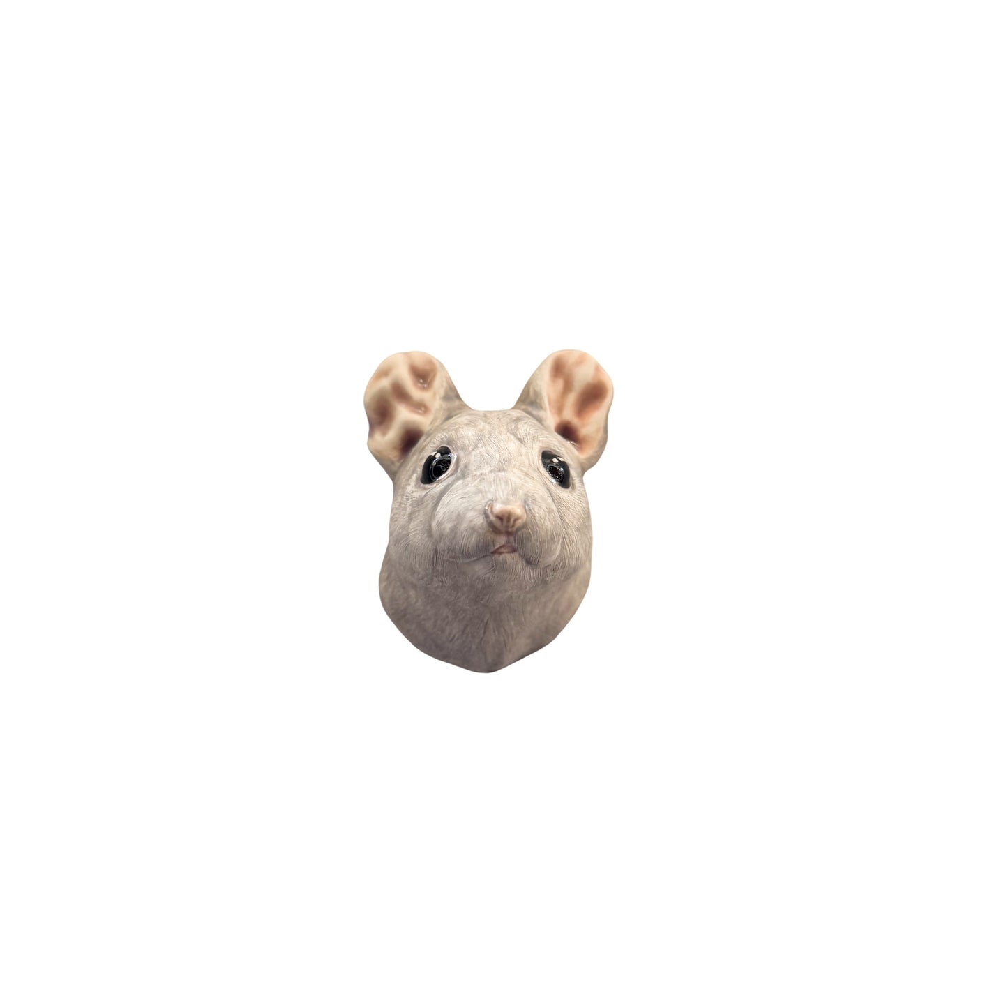 Mouse 57