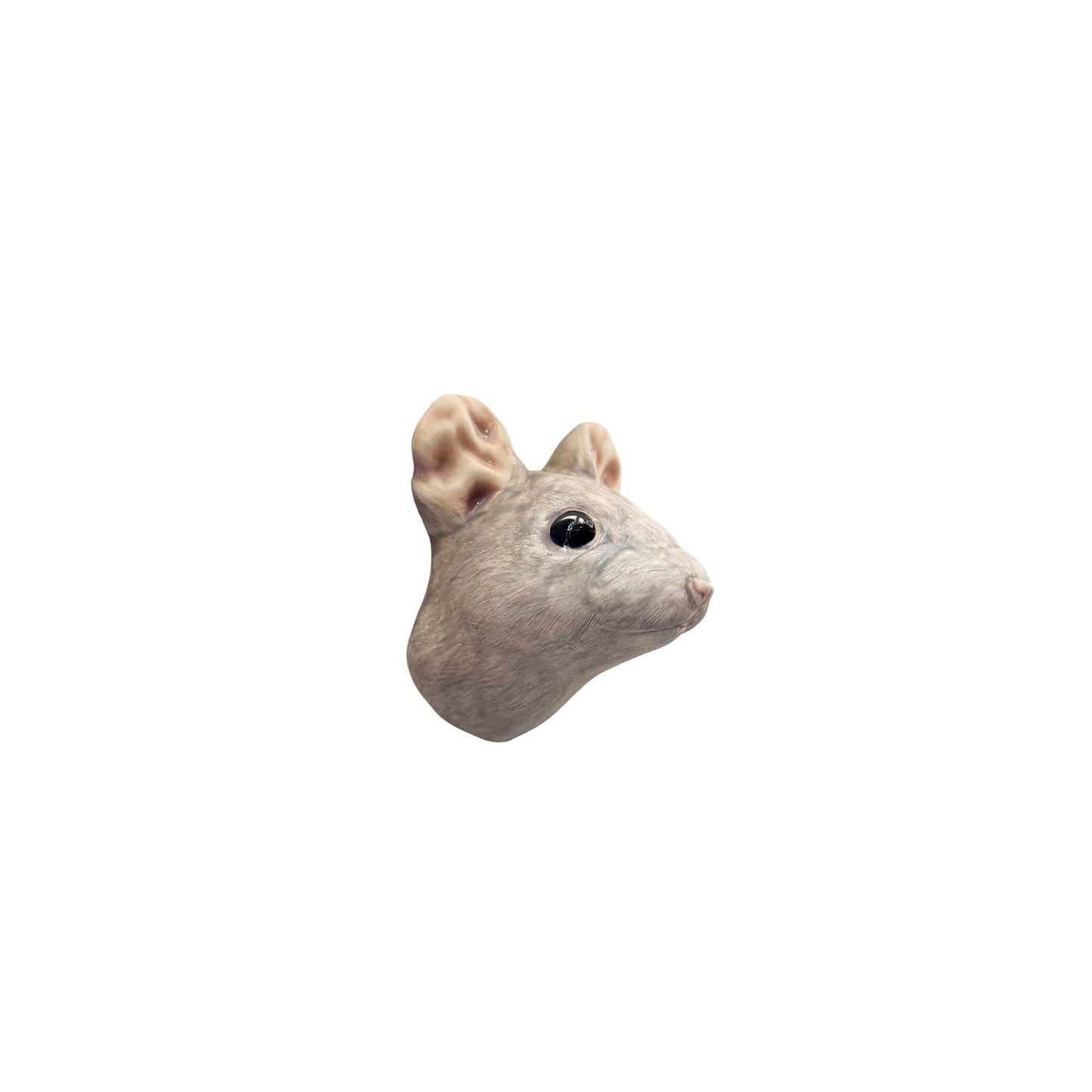 Mouse 57