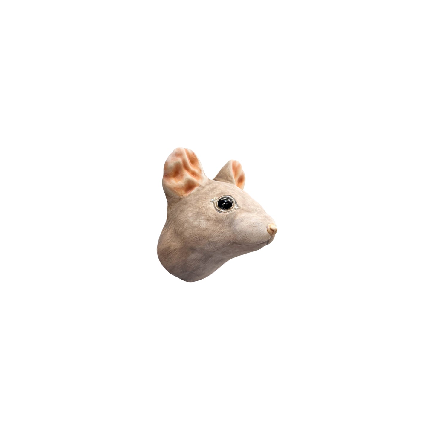 Mouse 56
