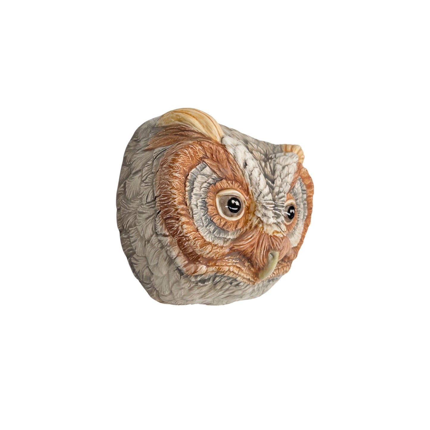 Flammulated Owl 25
