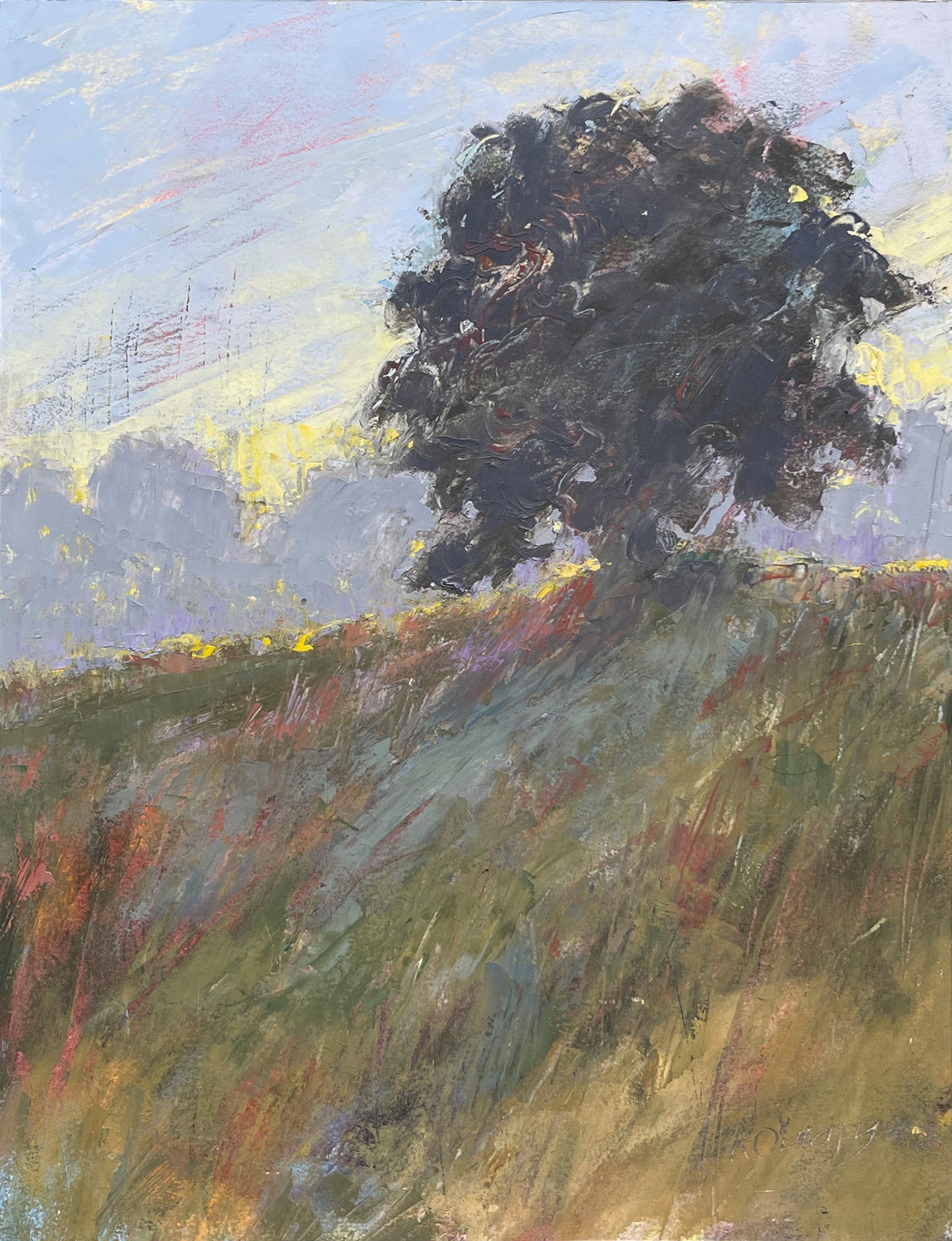 Morning Light