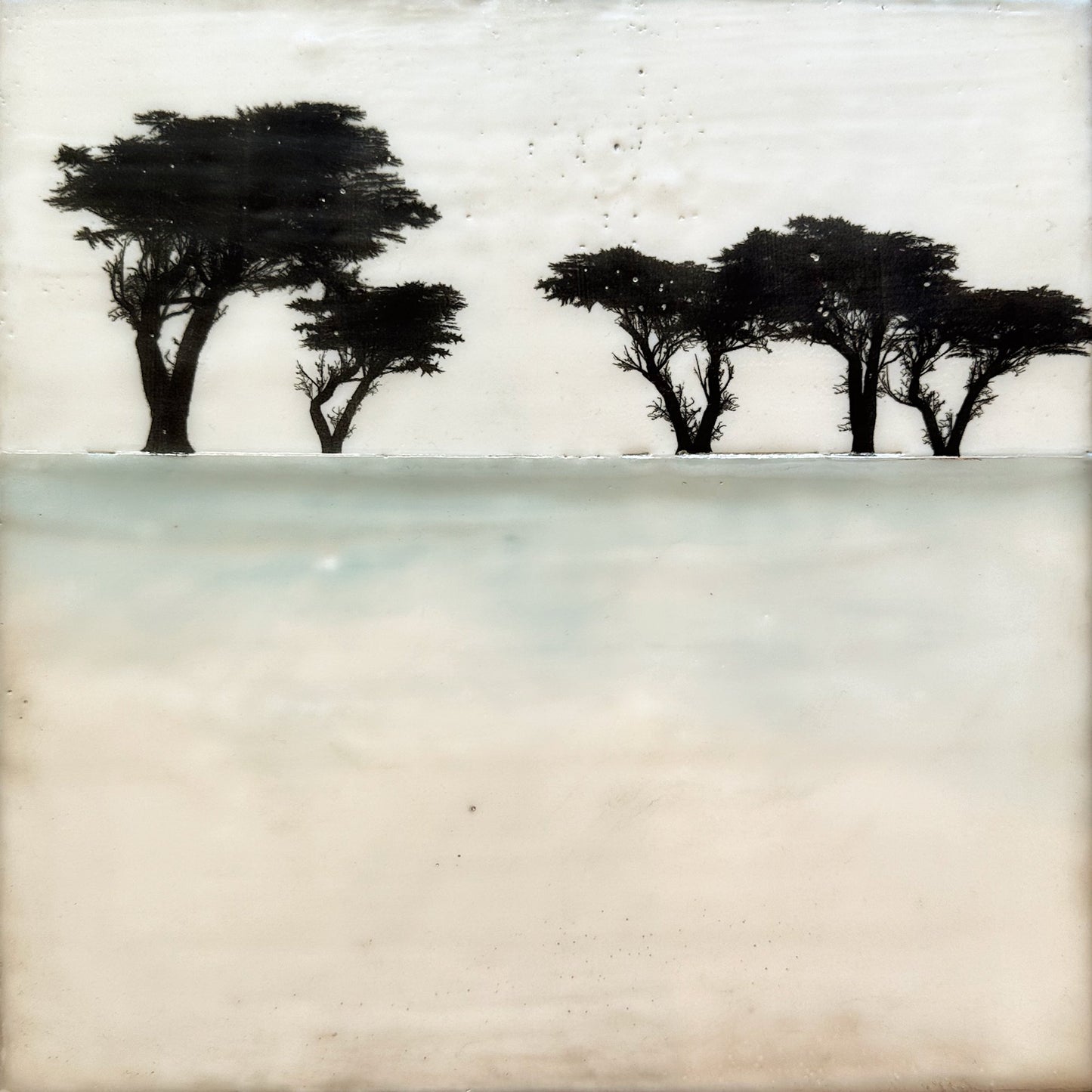 Salt In The Wind