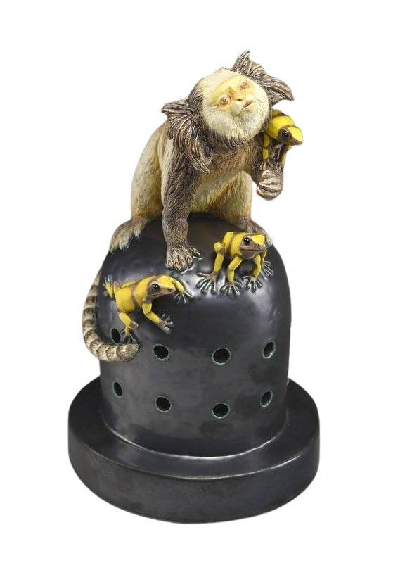 Guarded – Marmoset With Poison Dart Frogs