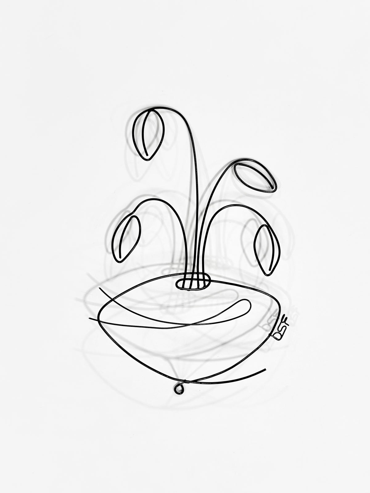 Still Life 11
