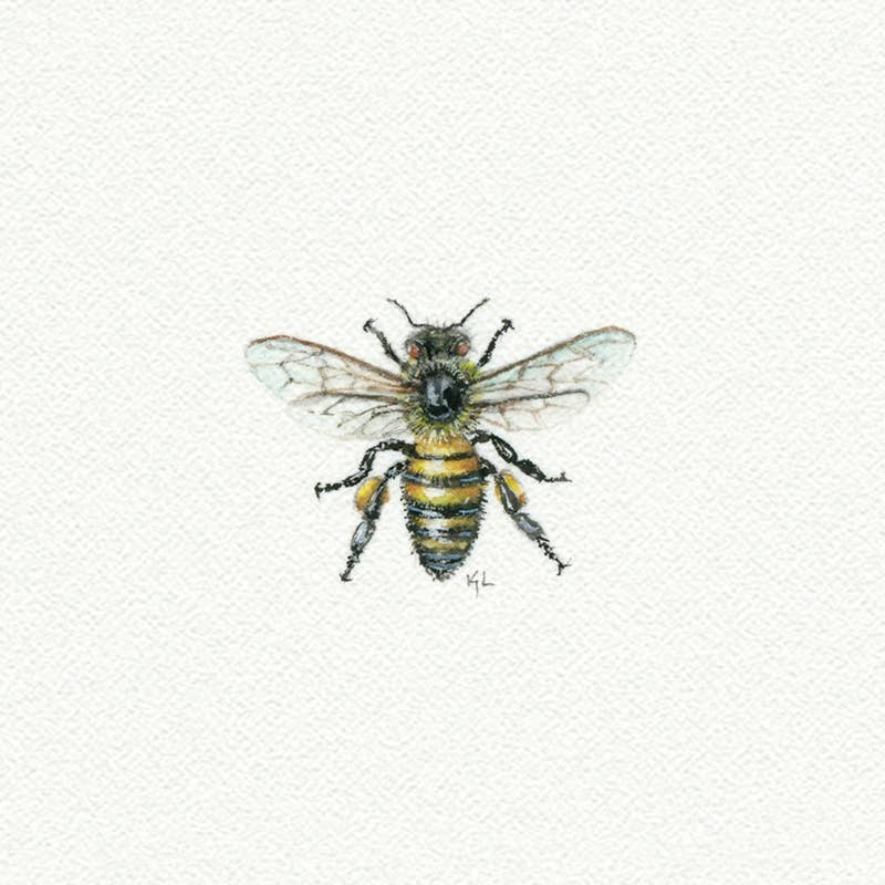 Bee Miniature Watercolor Print