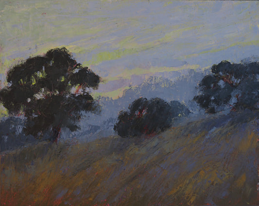 Evening Skies