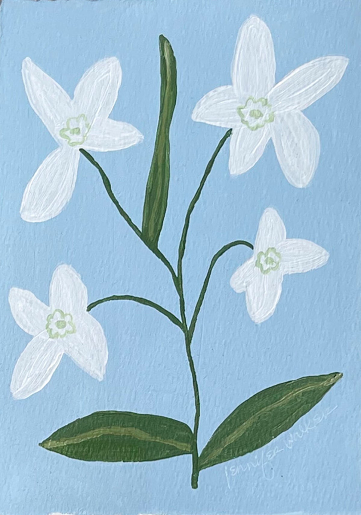 Flower Study No. 15