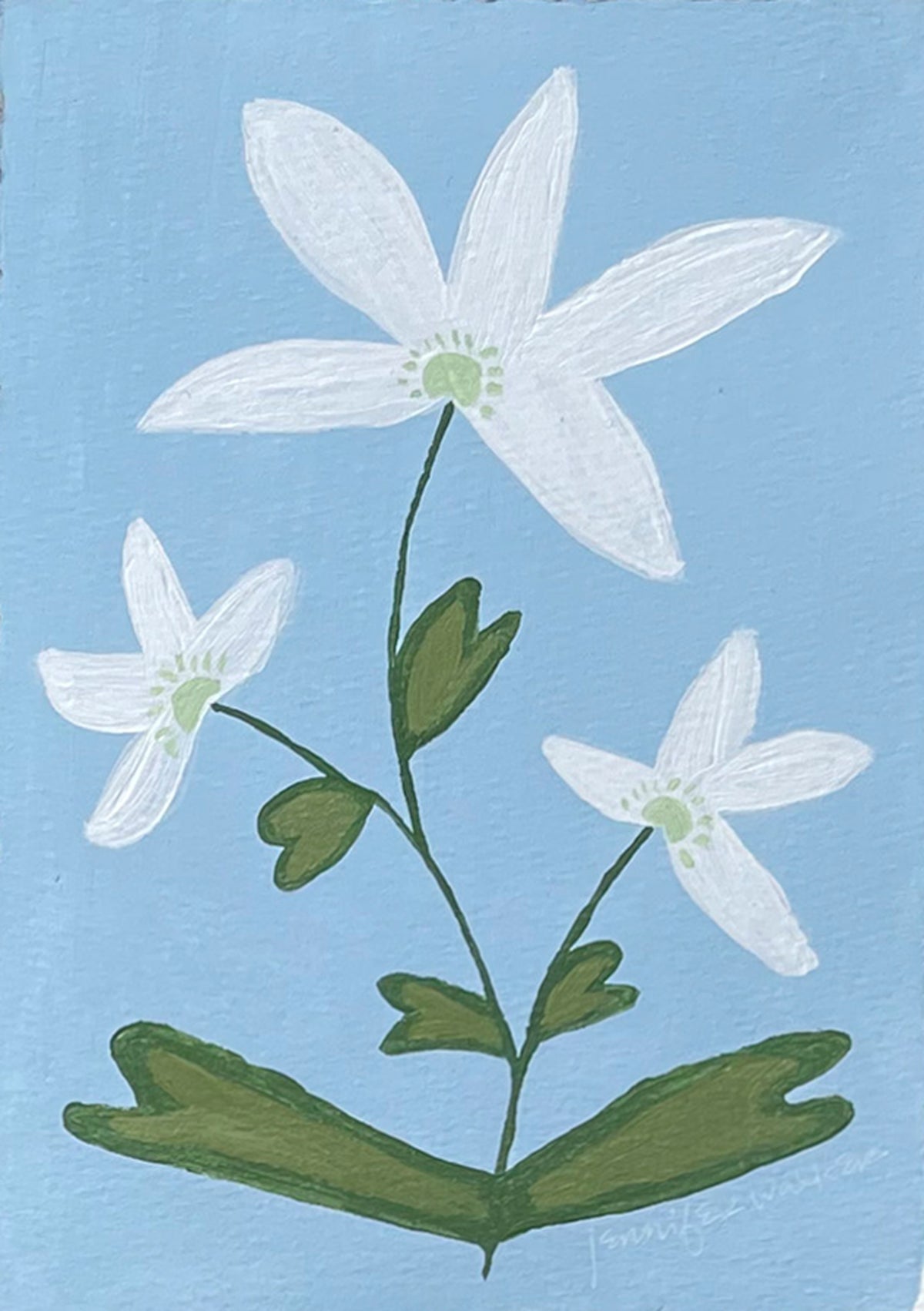 Flower Study No. 17