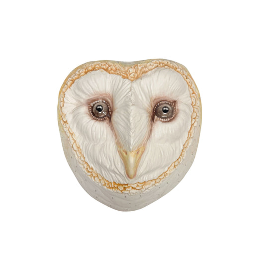 Barn Owl 32