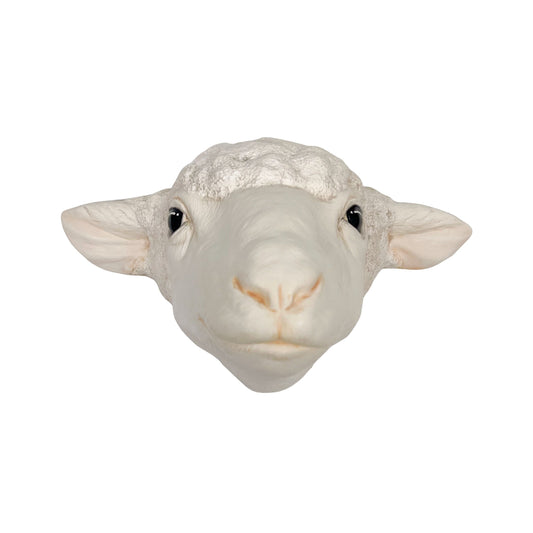 Sheep 7