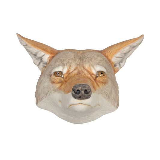 Coyote 19