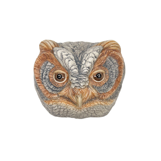Flammulated Owl 32