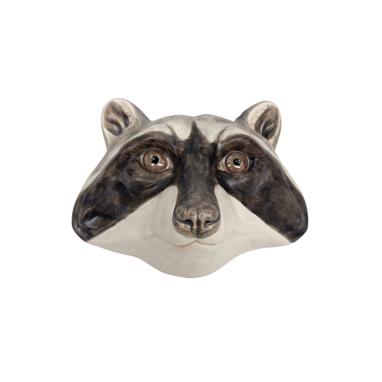 Raccoon 22