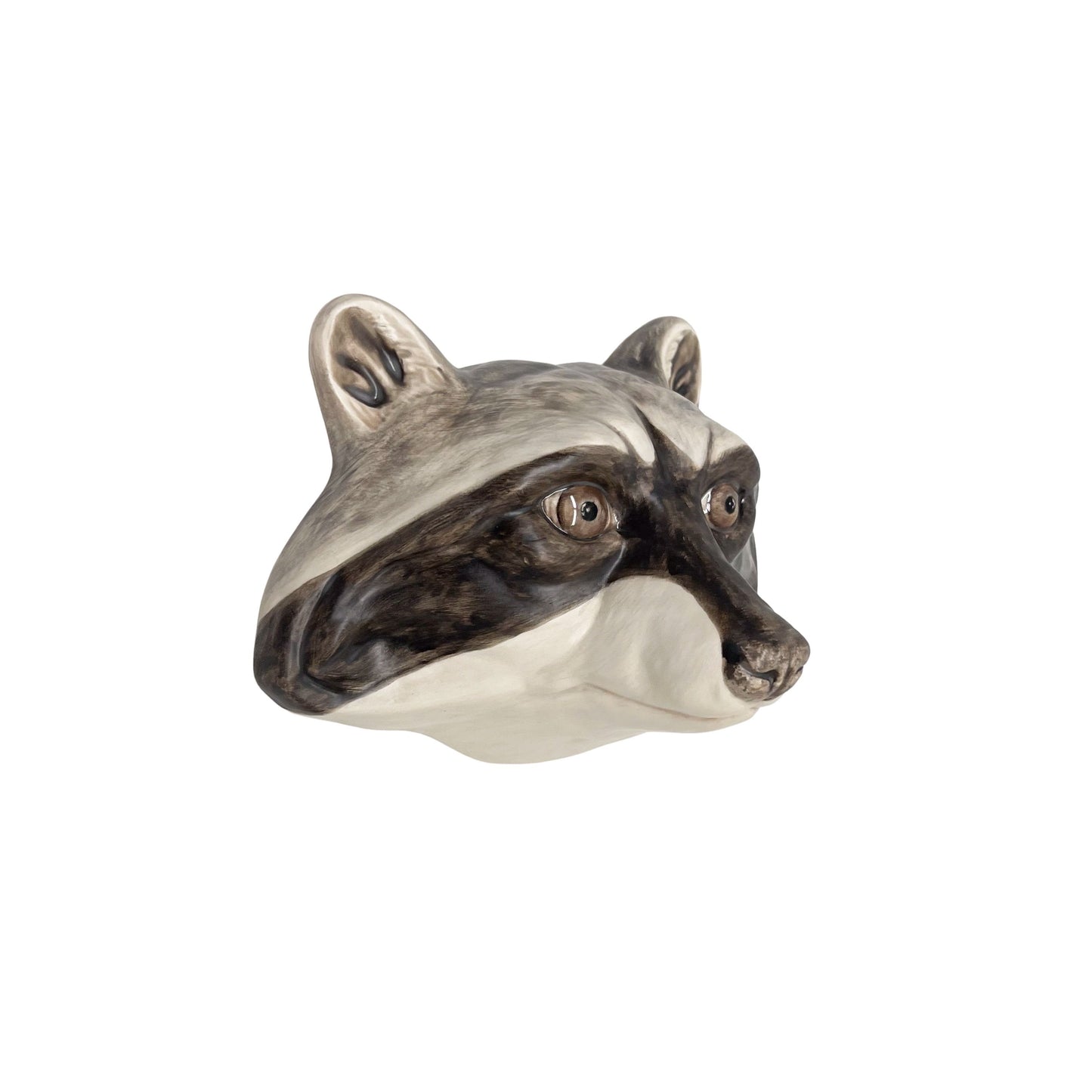 Raccoon 22