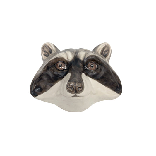 Raccoon 23