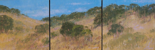Summer In The Hills (Triptych)