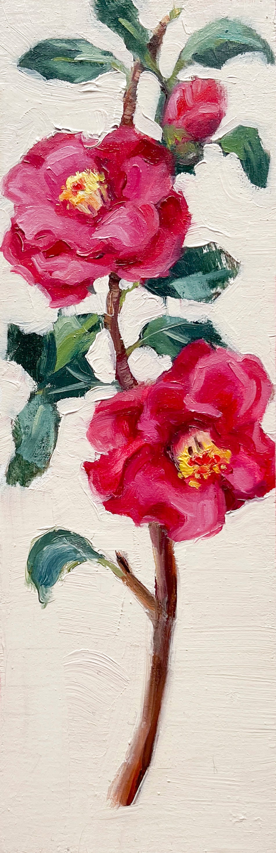 Camellias