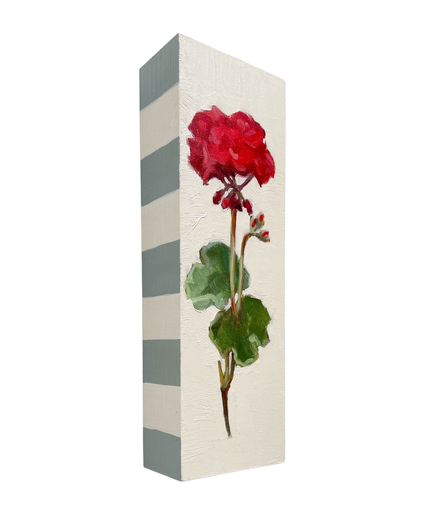 Geranium