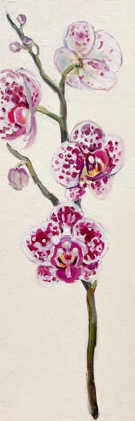 Purple Spotted Orchid