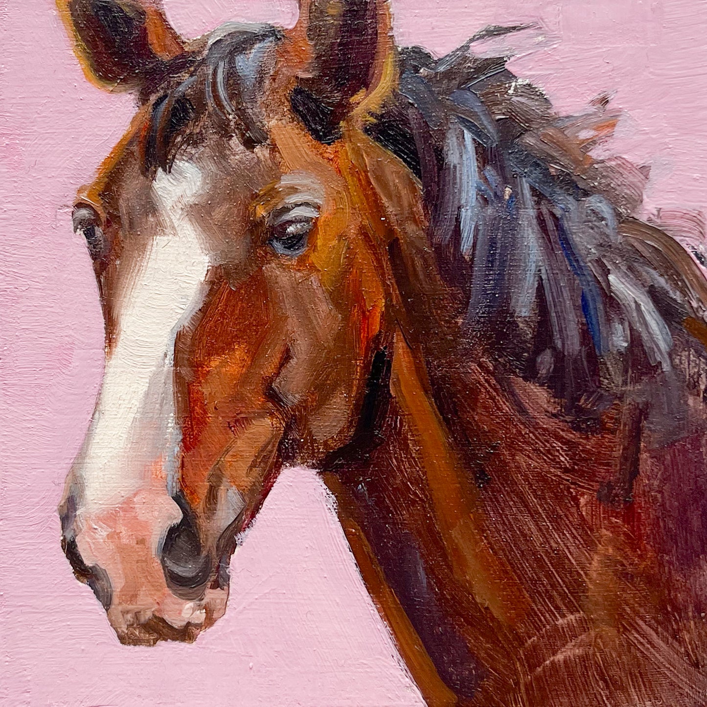 Equine