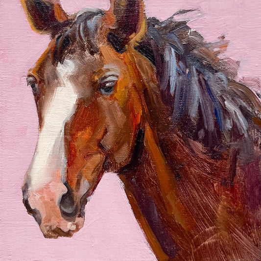 Equine