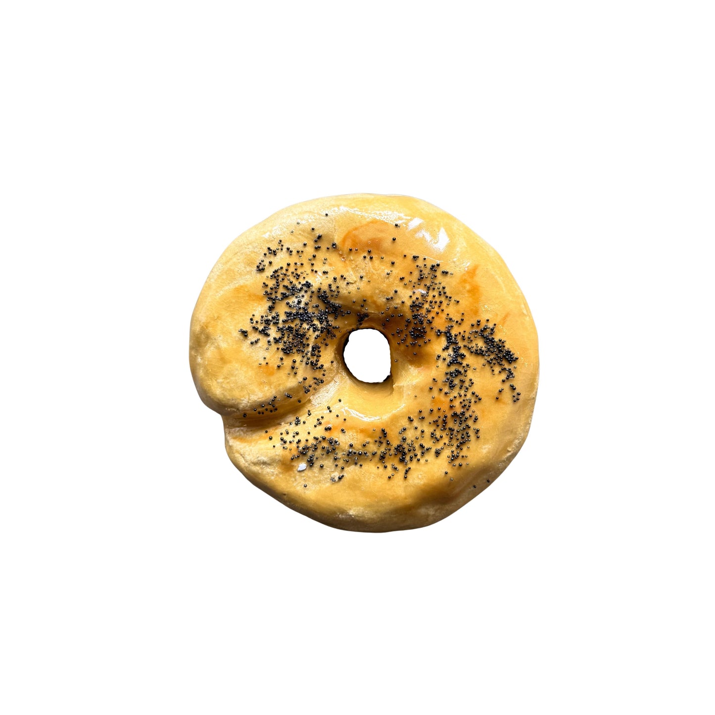 Poppy Seed Bagel