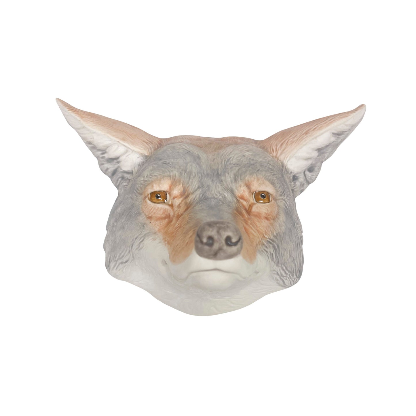 Coyote 27