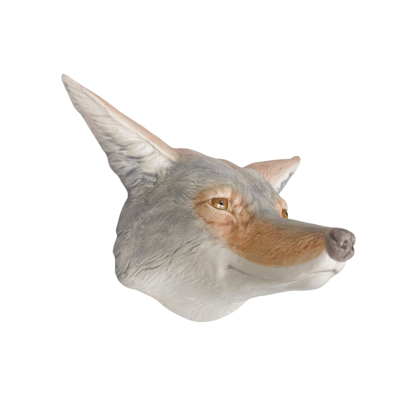 Coyote 27