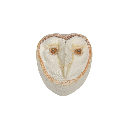 Barn Owl 33