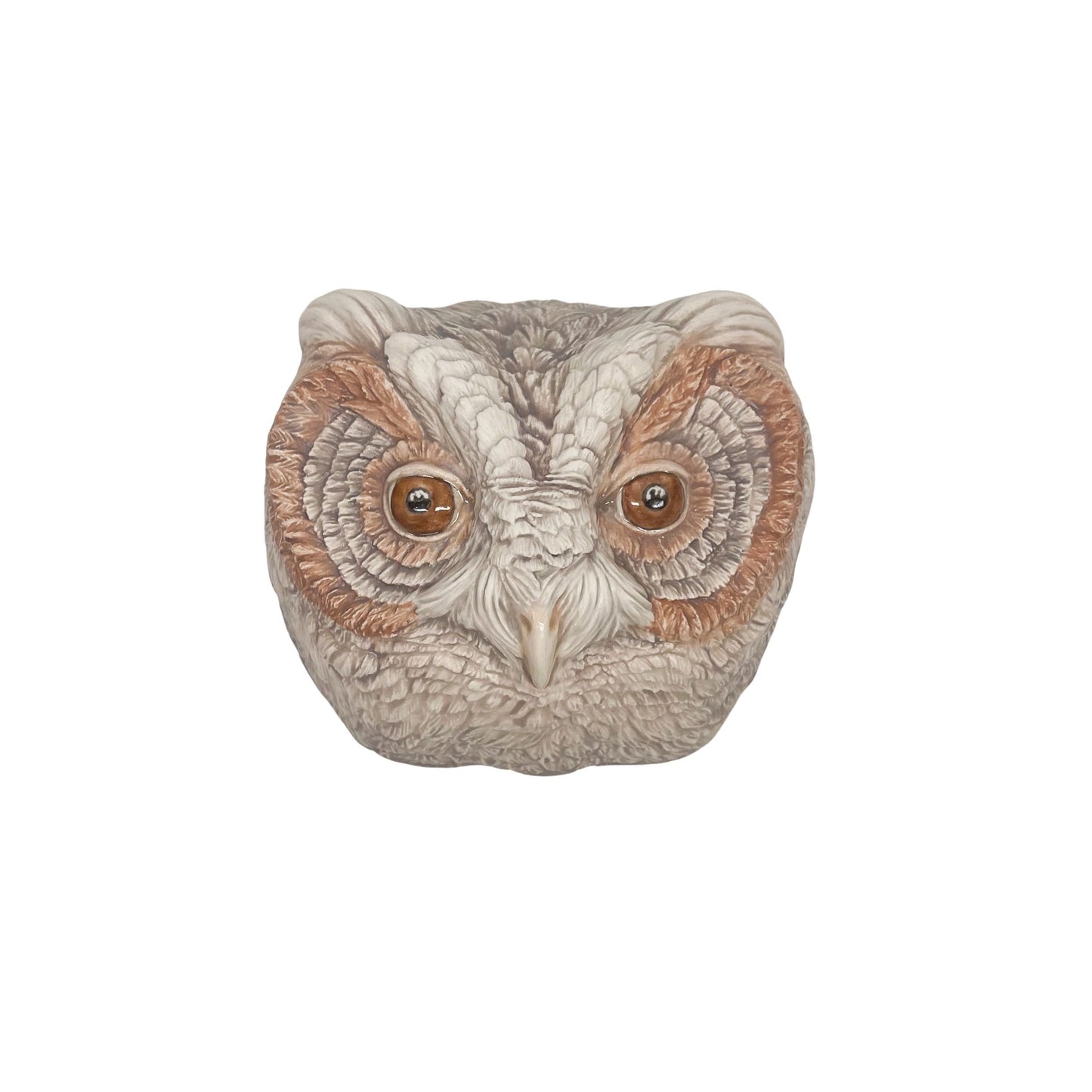 Flammulated Owl 39