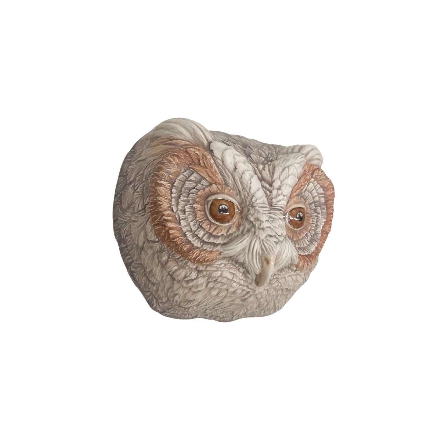 Flammulated Owl 39