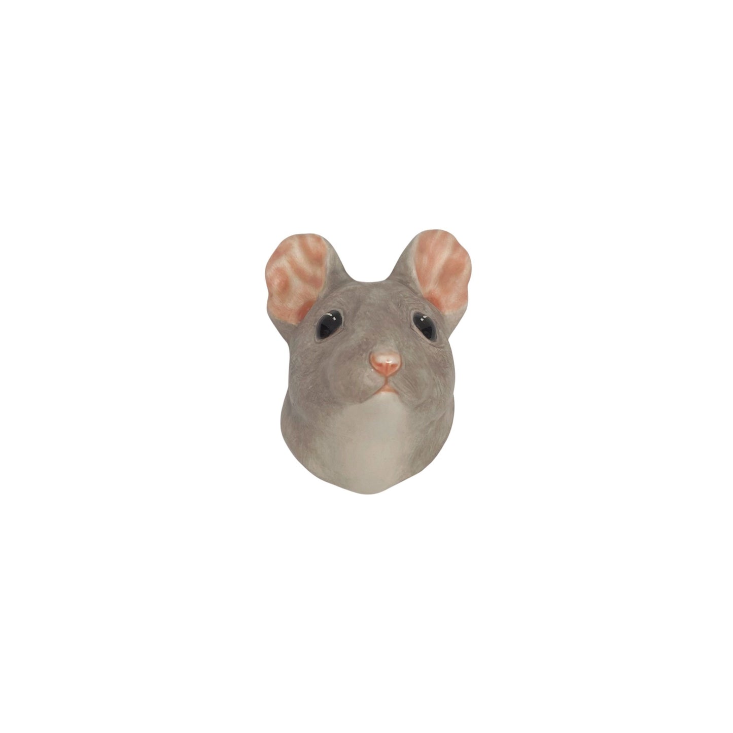Mouse 43