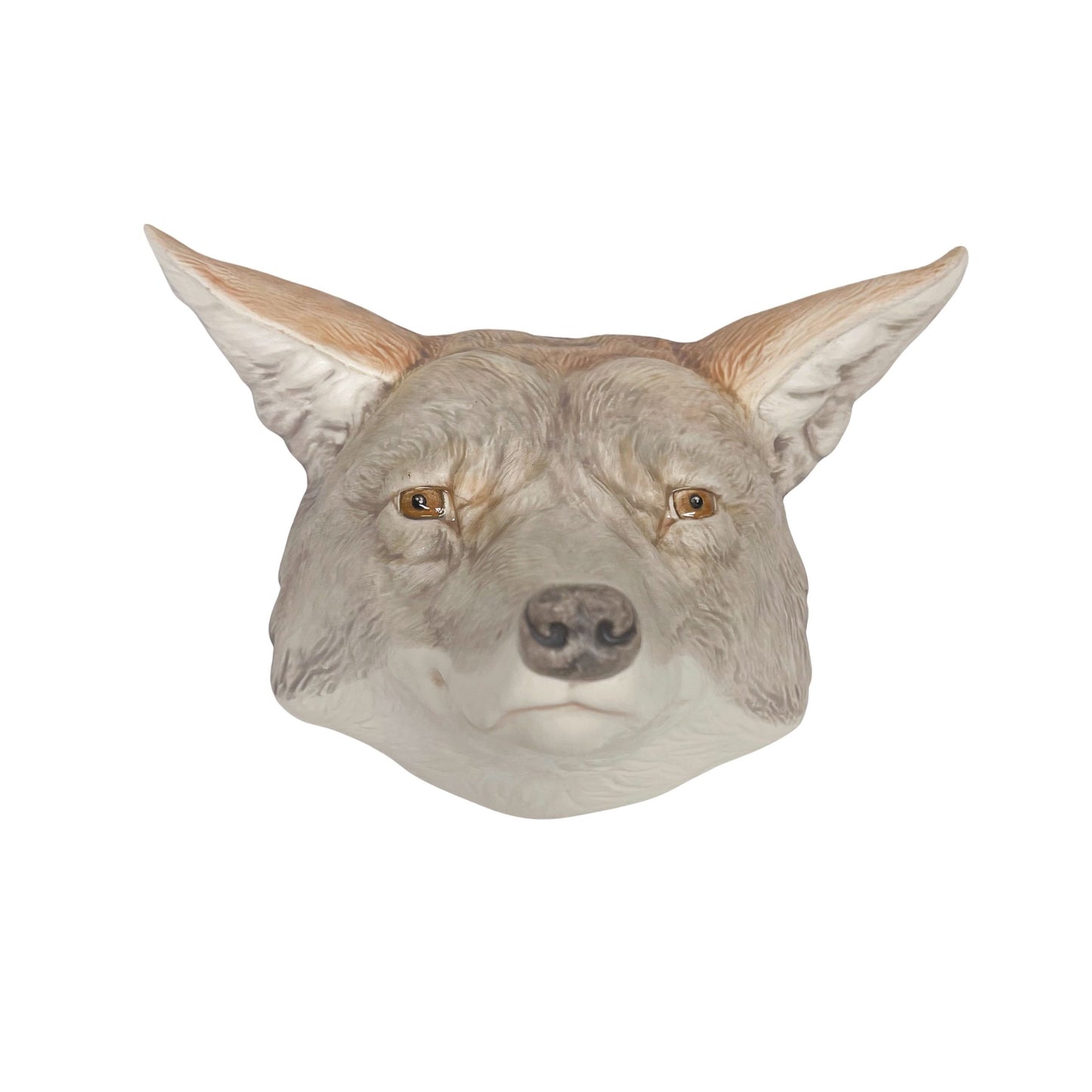 Coyote 28