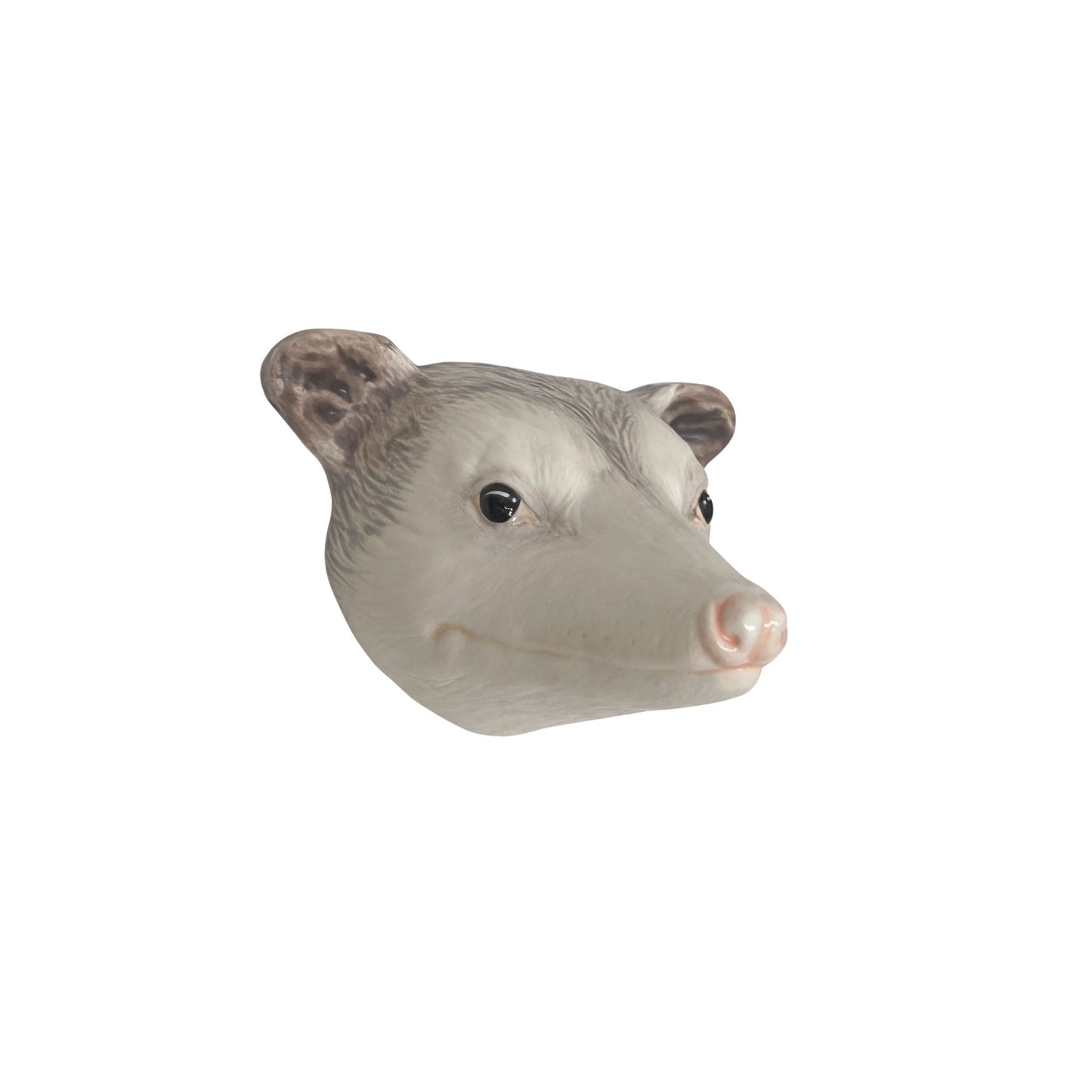 Opossum 58