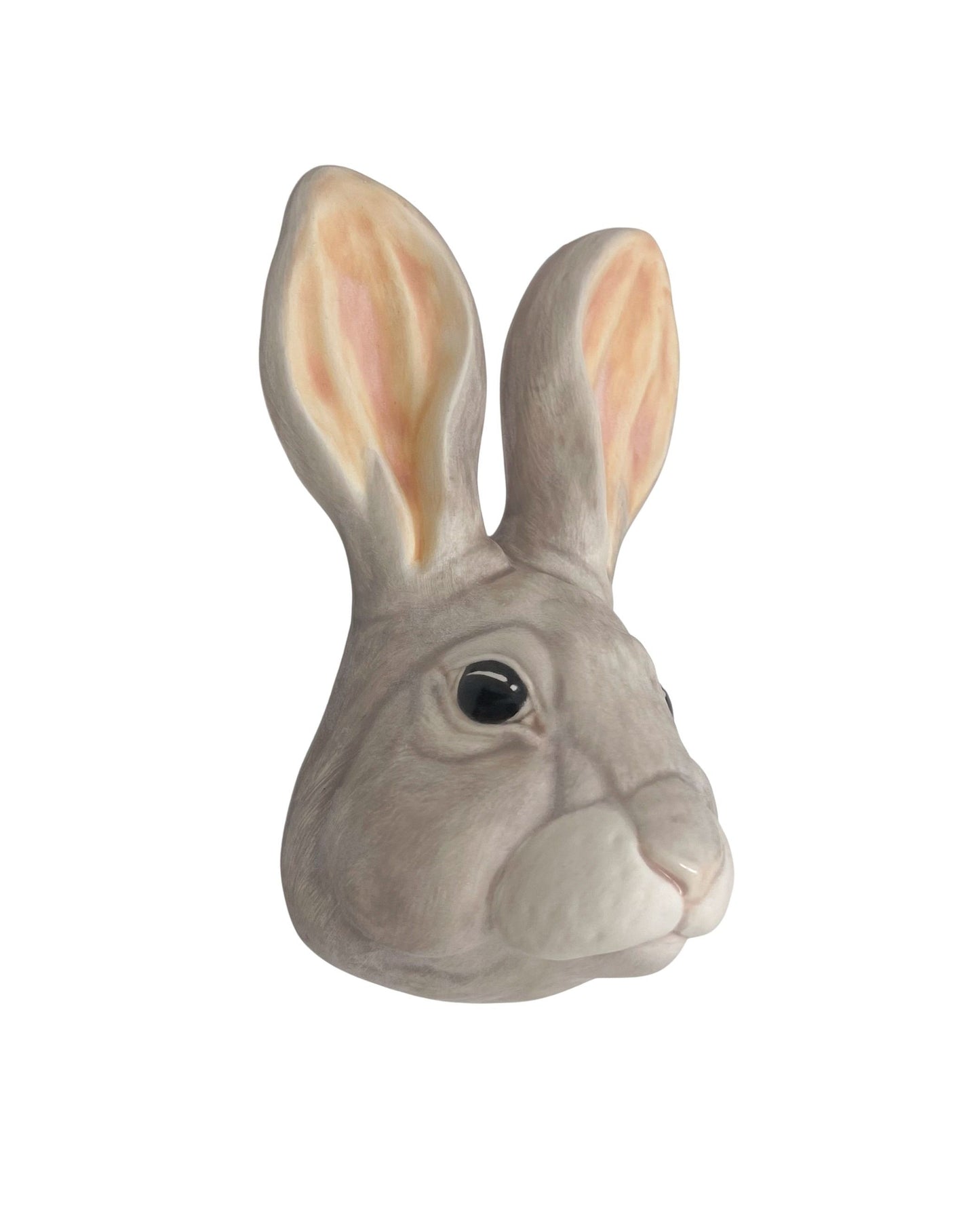 Rabbit 28