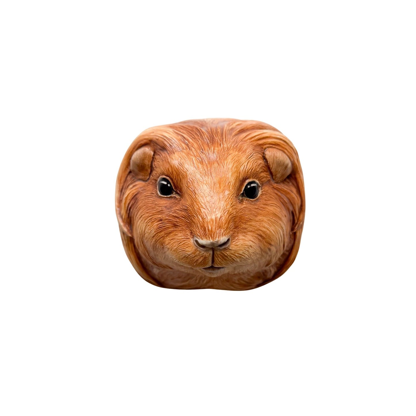 Guinea Pig 6