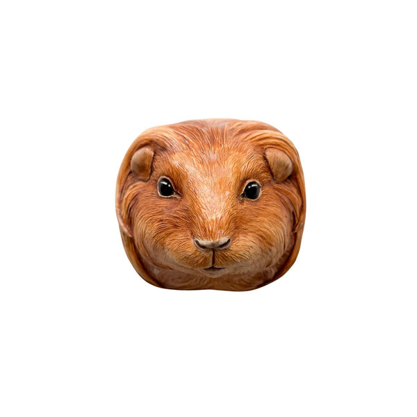 Guinea Pig 6