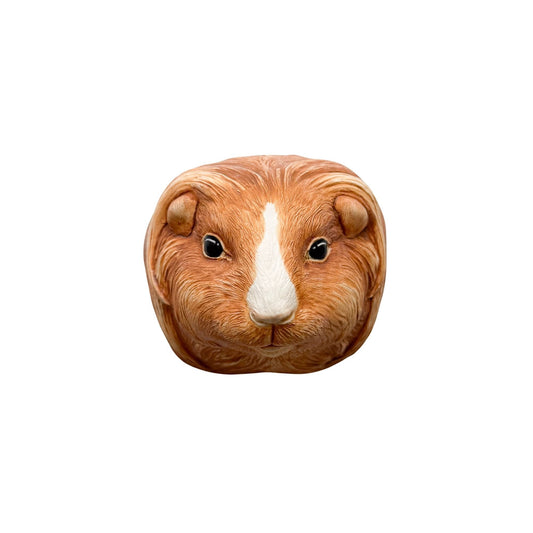 Guinea Pig 1