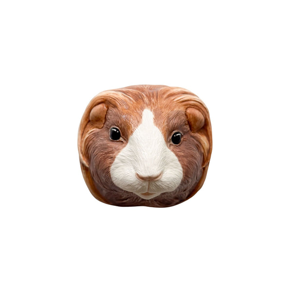 Guinea Pig 2