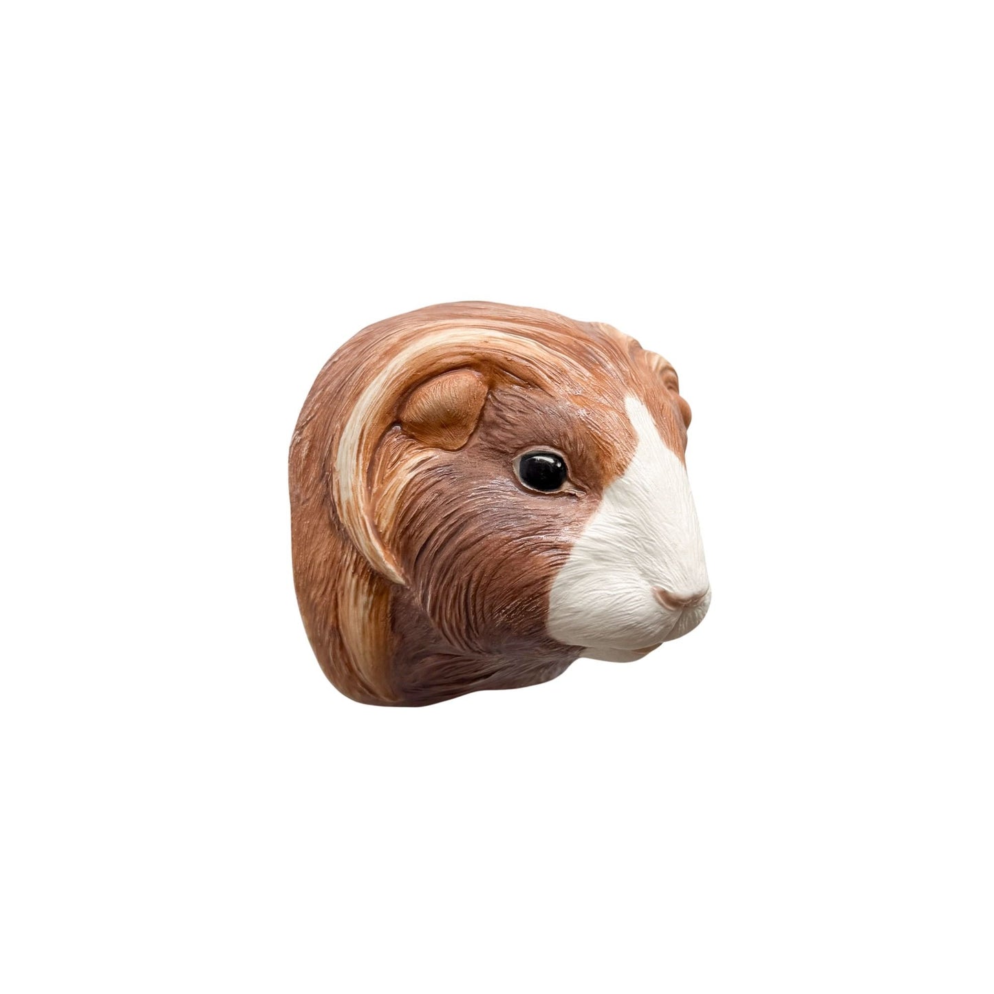 Guinea Pig 2